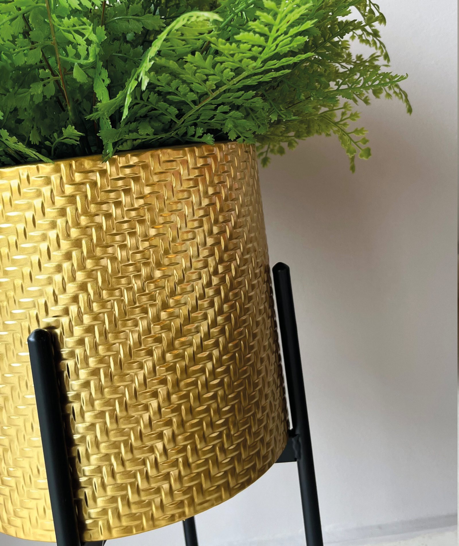 1060649 porta matera2