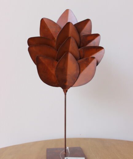 Hojarasca Pequeña 1520559